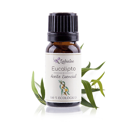 Aceite esencial de eucalipto Aceite esencial de eucalipto