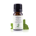 Aceite esencial de pachuli