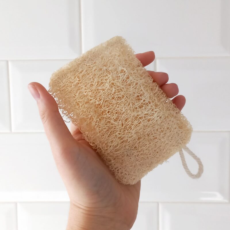 Estropajo de Luffa