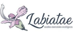 Labiatae