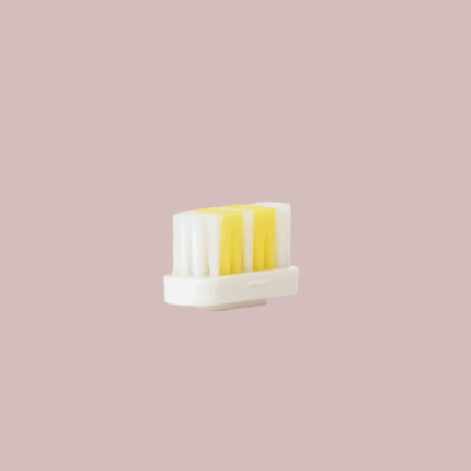 Cabezal de cepillo de dientes reutilizable