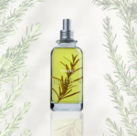 perfume organico forest